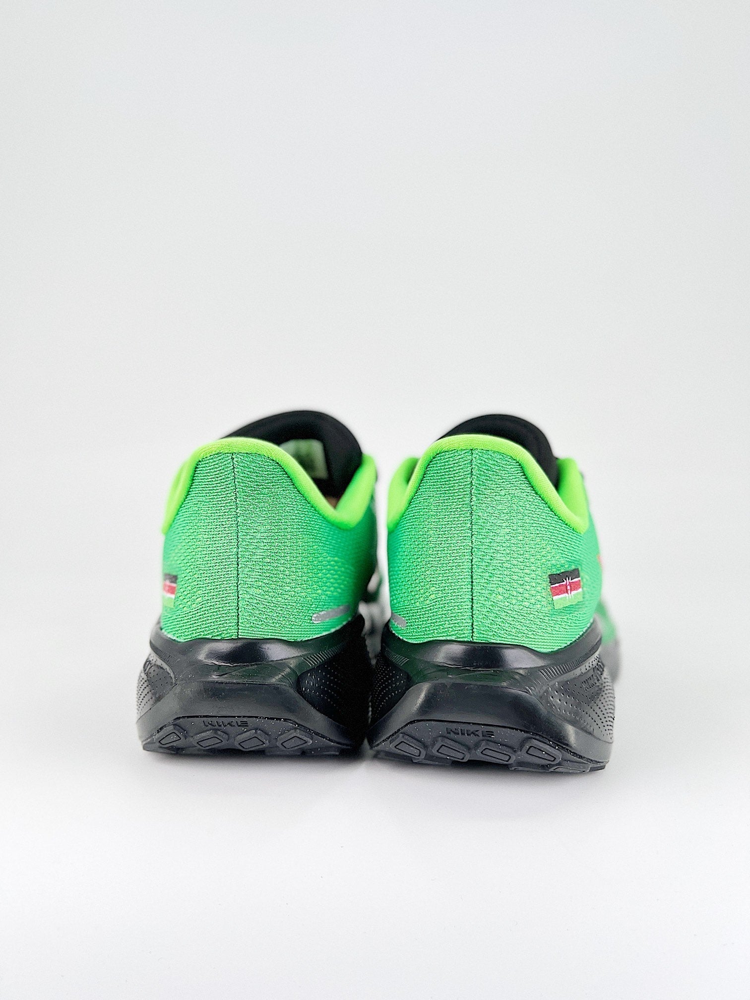Nike Pegasus 41 - Verde/Preto